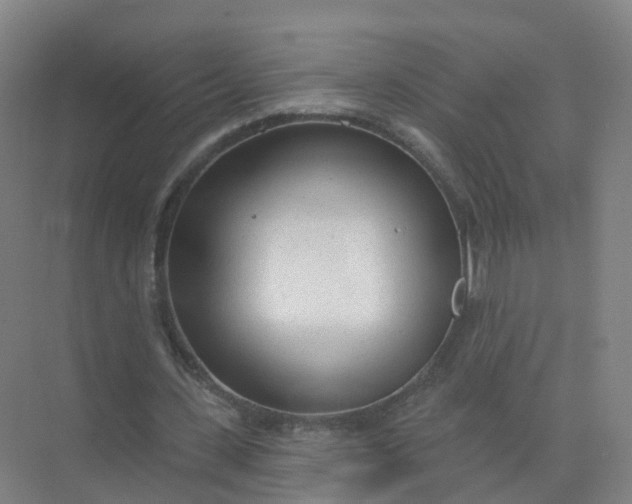 X0000074940531200609152007