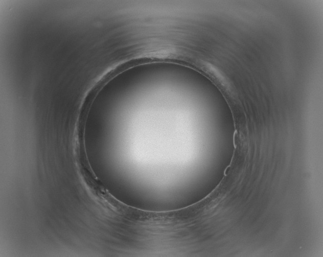 X0000074940532200609152007