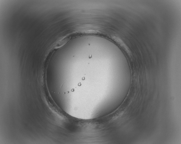 X0000074940533200609152007