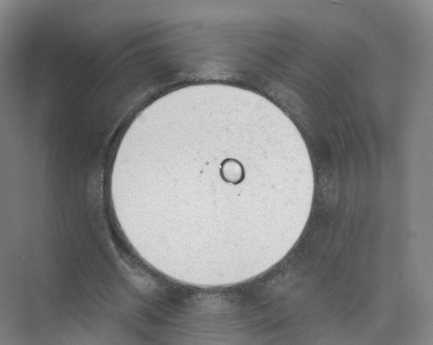 X0000074940534200609152007