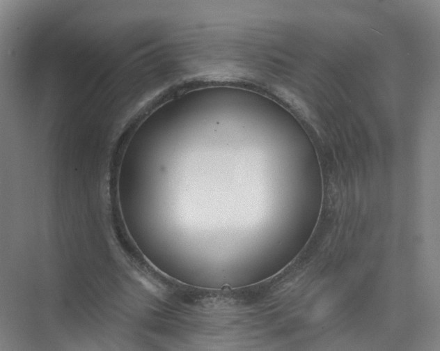 X0000074940535200609152007