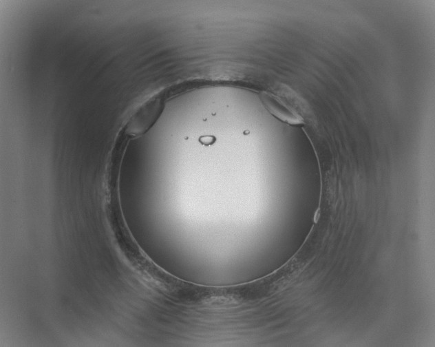 X0000074940536200609152007