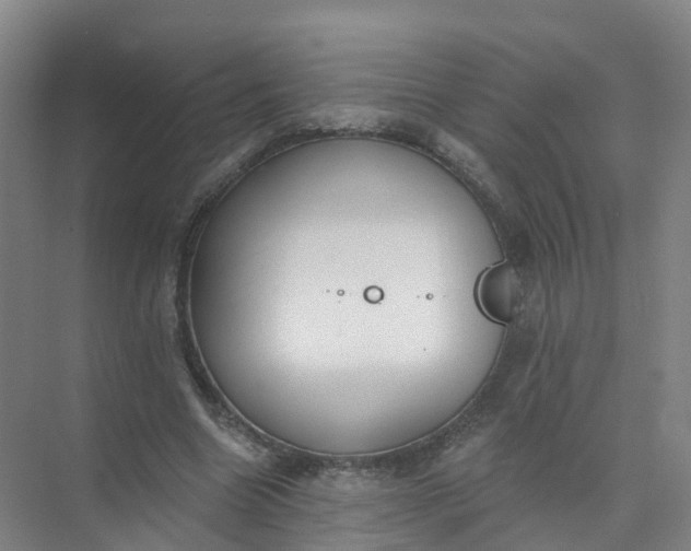 X0000074940538200609152007