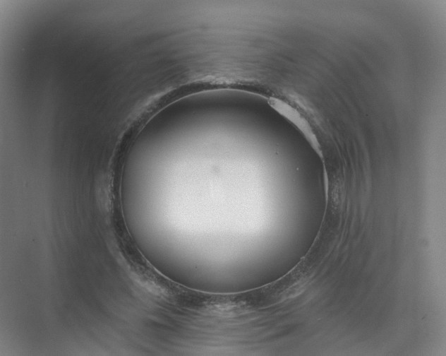 X0000074940540200609152007