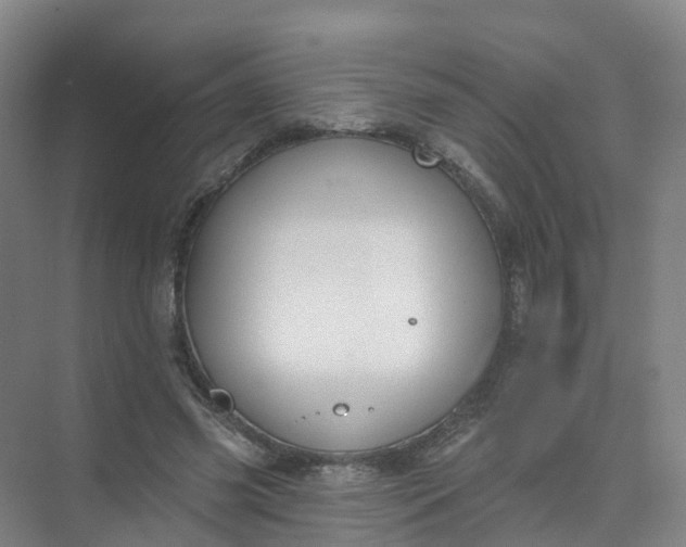 X0000074940541200609152007