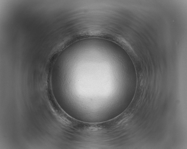 X0000074940542200609152007