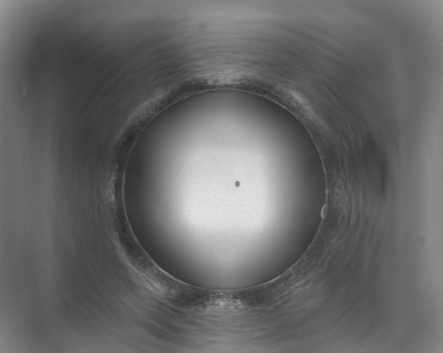 X0000074940543200609152007