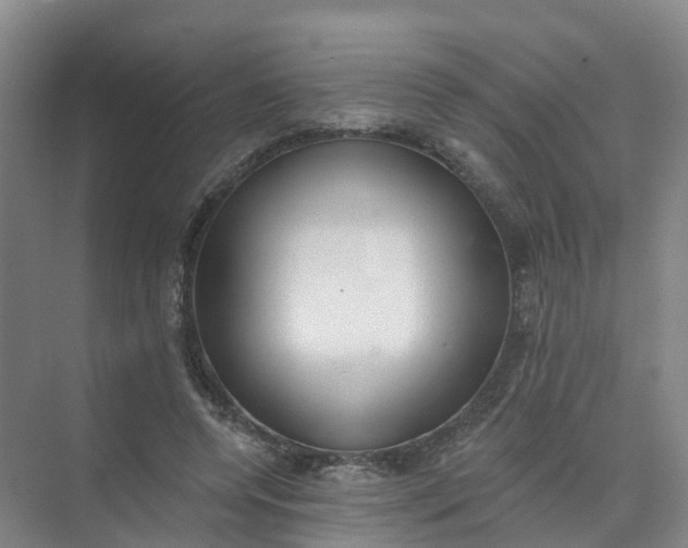 X0000074940544200609152007