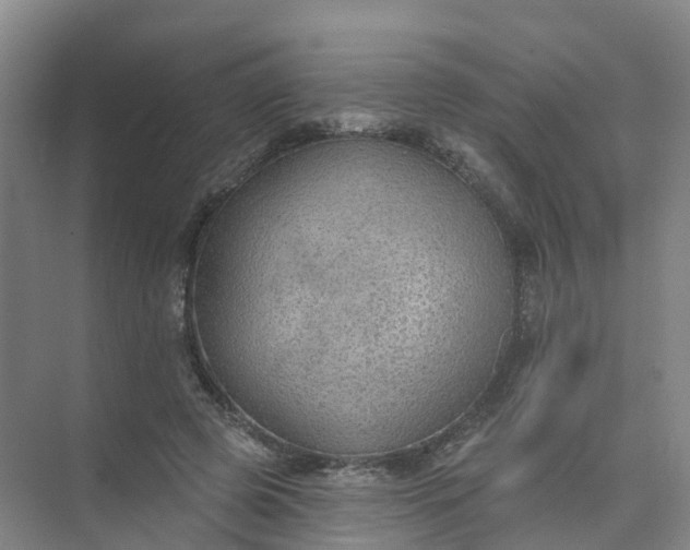 X0000074940545200609152007