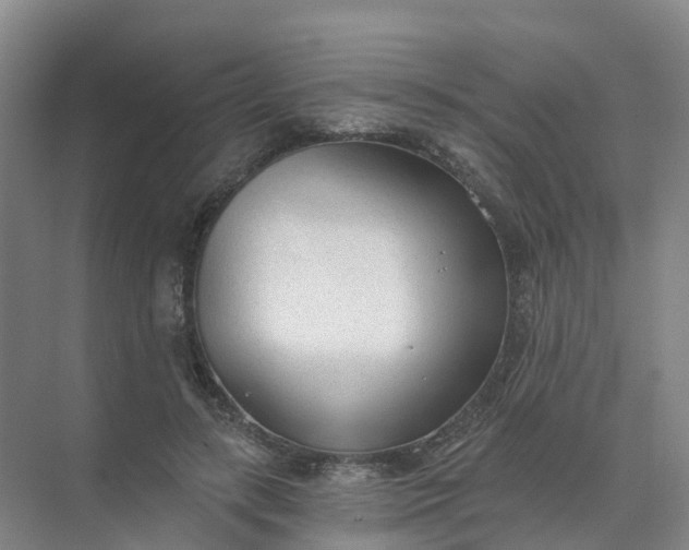 X0000074940547200609152007