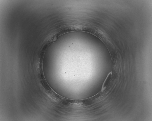 X0000074940548200609152007