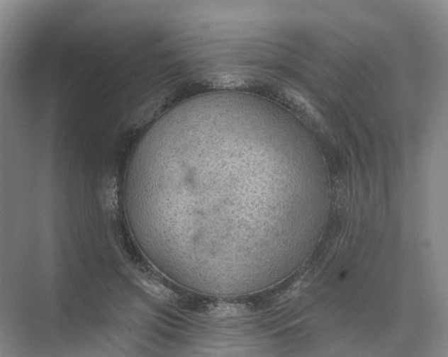 X0000074940549200609152007