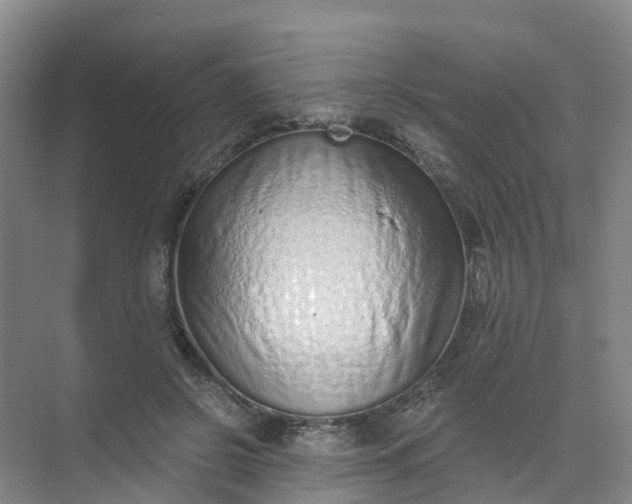 X0000074940550200609152007