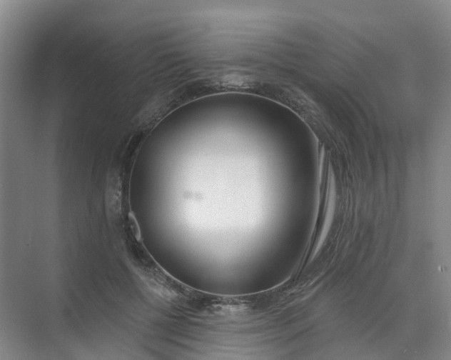 X0000074940552200609152007