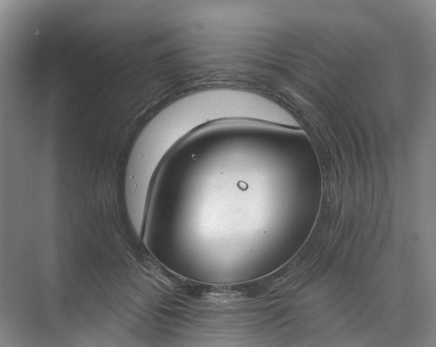 X0000074940556200609152007