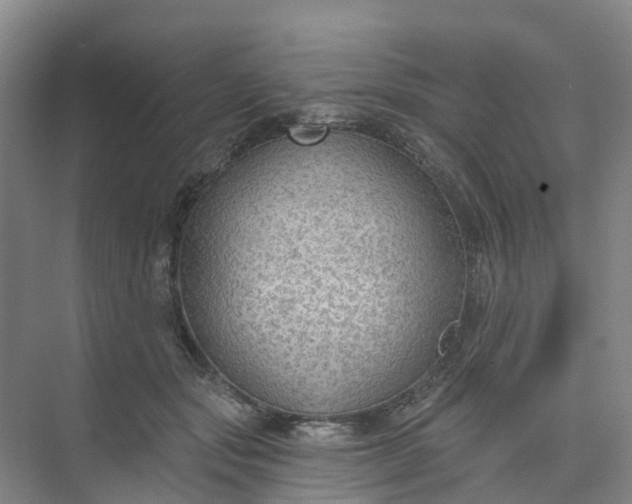 X0000074940557200609152007