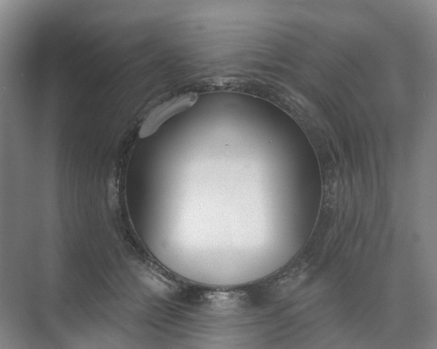 X0000074940558200609152007