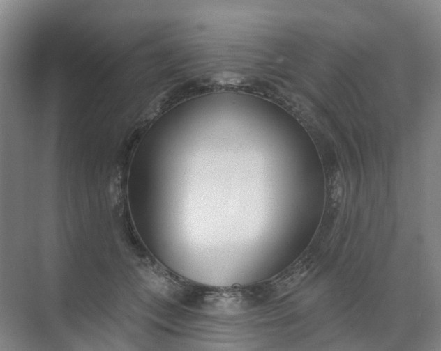 X0000074940559200609152007