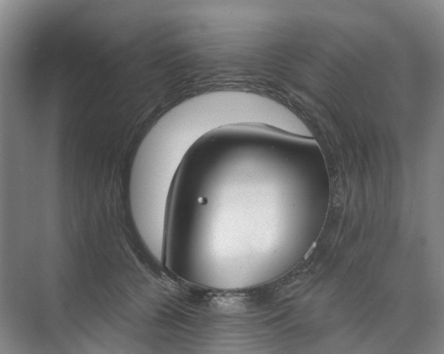 X0000074940560200609152007