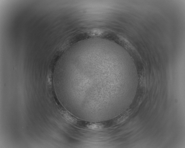 X0000074940561200609152007