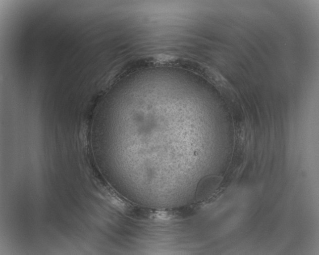 X0000074940565200609152007