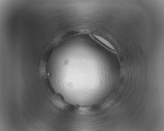 X0000074940573200609152008