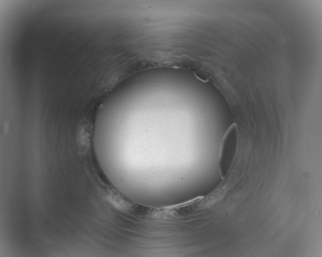 X0000074940576200609152008