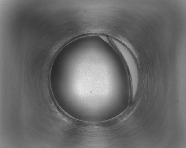 X0000074940577200609152007