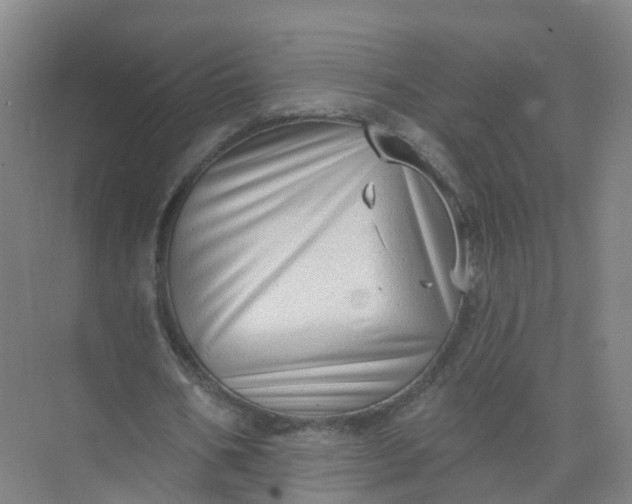 X0000074940578200609152007