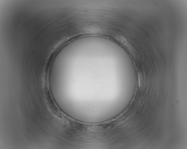 X0000074940579200609152007