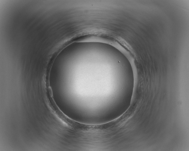 X0000074940581200609152007