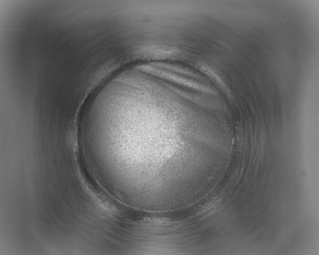 X0000074940582200609152007