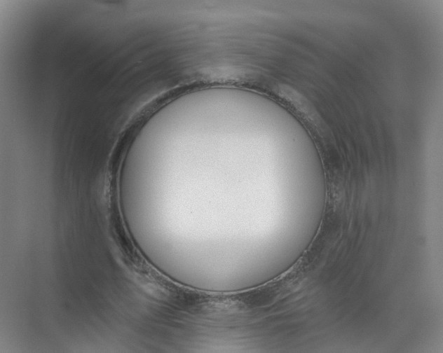 X0000074940583200609152007