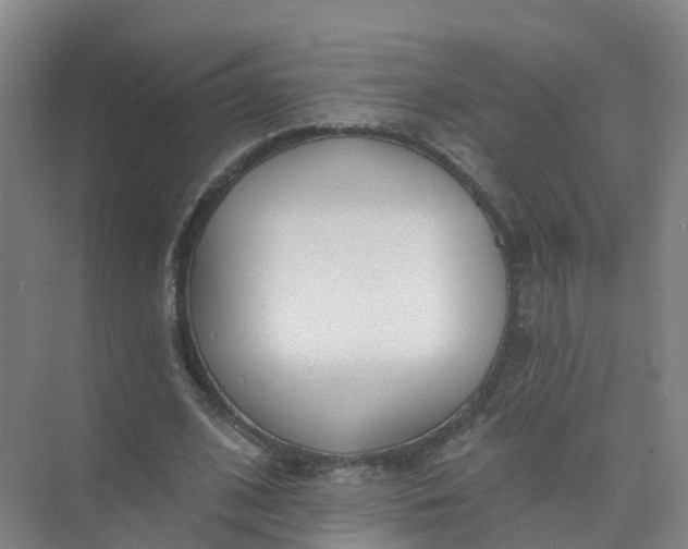 X0000074940584200609152007