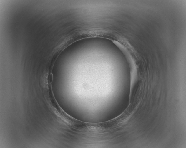 X0000074940585200609152007