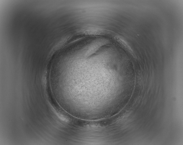 X0000074940586200609152007