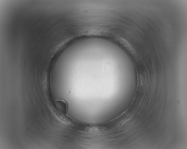 X0000074940588200609152007