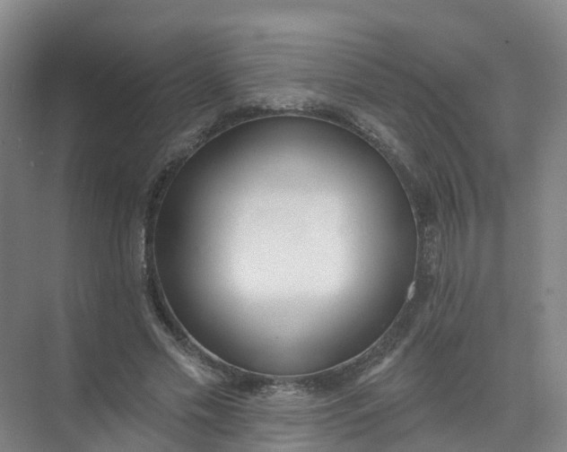 X0000074940589200609152007