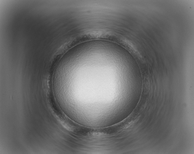 X0000074940590200609152007