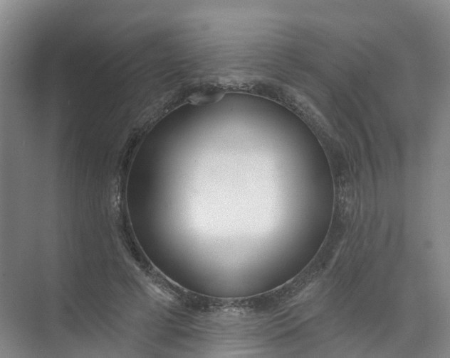 X0000074940593200609152007