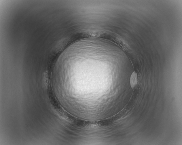 X0000074940594200609152007