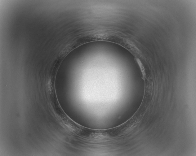 X0000074940597200609152006