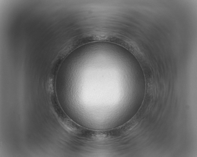 X0000074940598200609152006