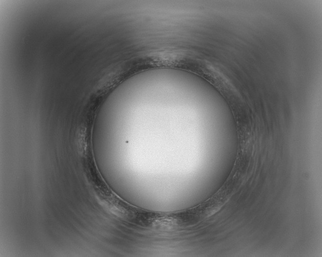 X0000074940599200609152006