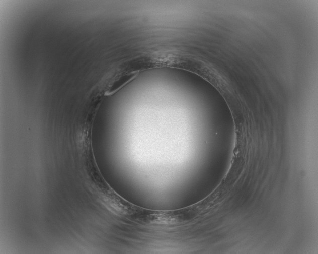 X0000074940601200609152006