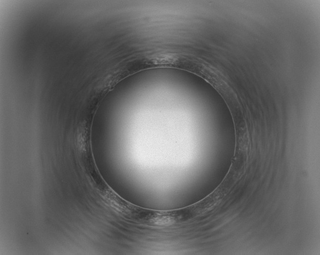 X0000074940604200609152006