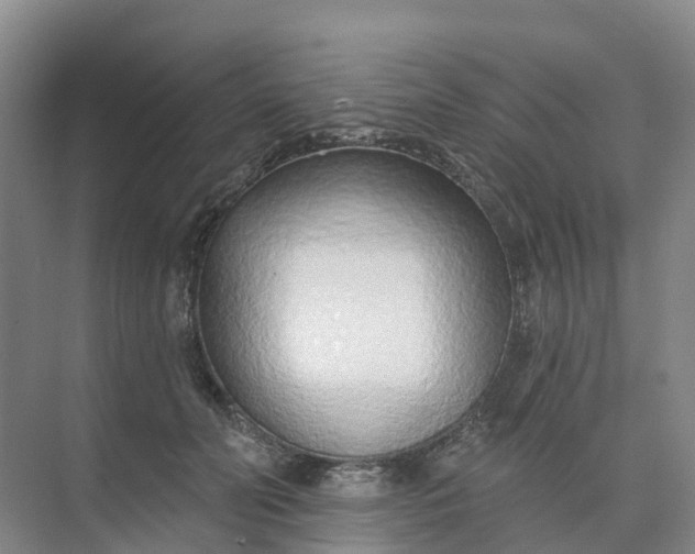 X0000074940606200609152006