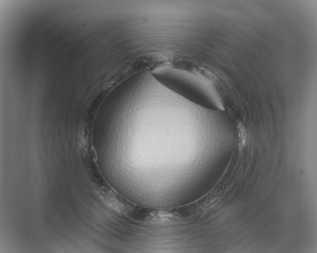 X0000074940607200609152006