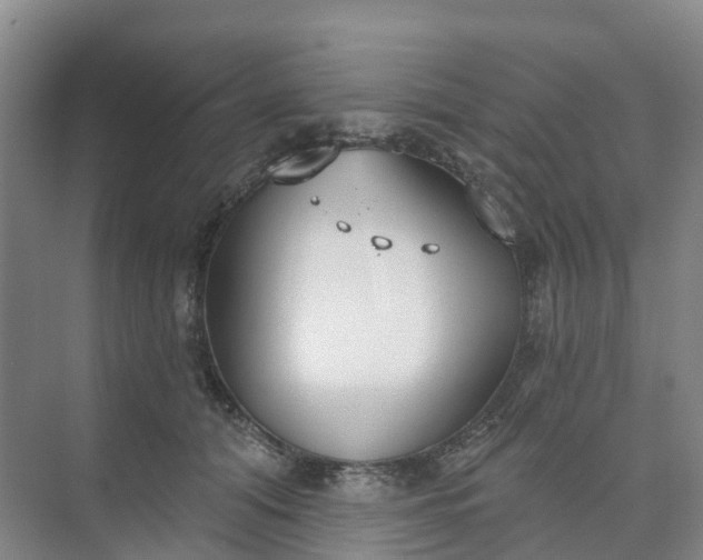 X0000074940608200609152006