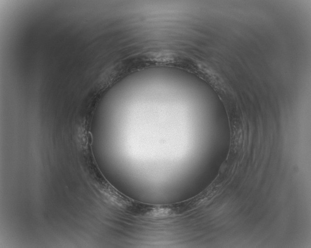 X0000074940609200609152006